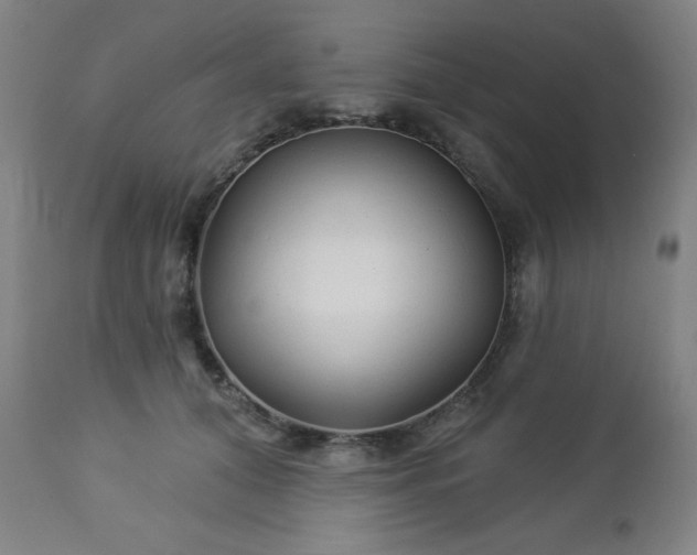 X0000112960608200909031023