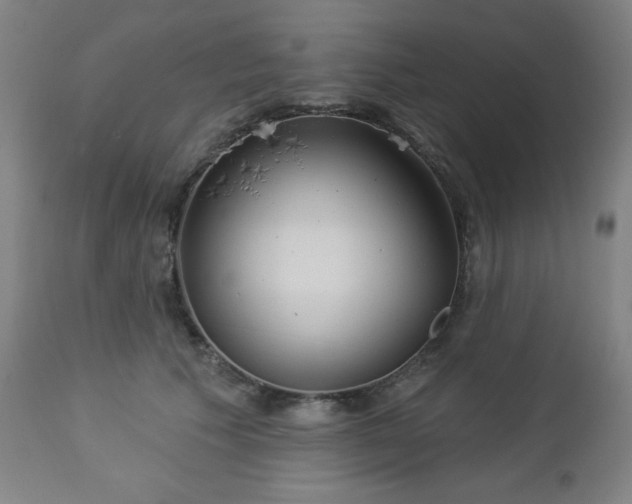 X0000112960609200909031023