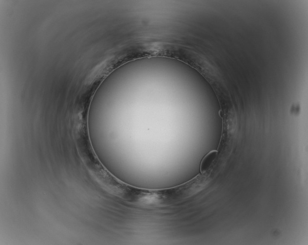 X0000112960611200909031023