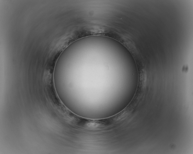 X0000112960614200909031023