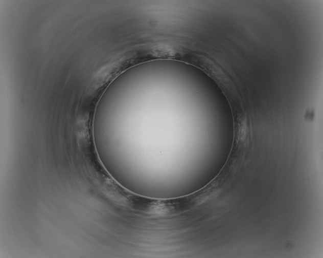 X0000112960616200909031023