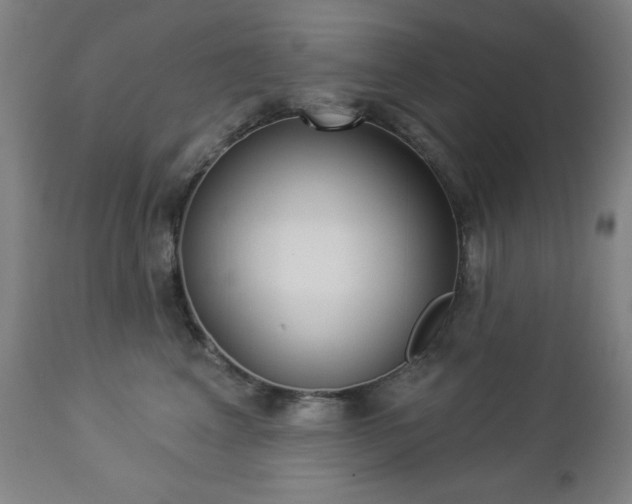 X0000112960617200909031023