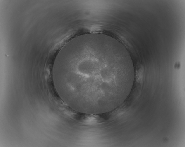 X0000112960618200909031023