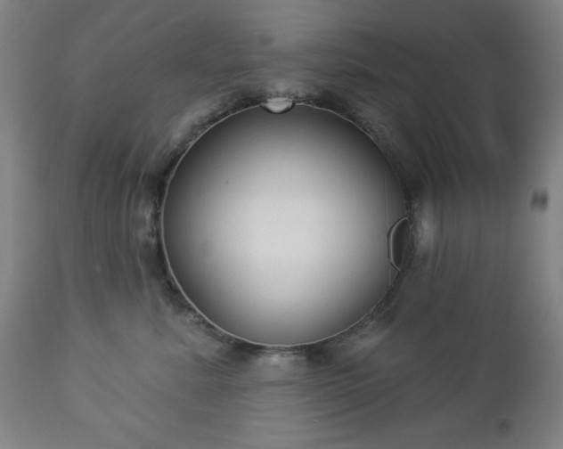 X0000112960619200909031023