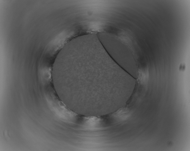 X0000112960621200909031023