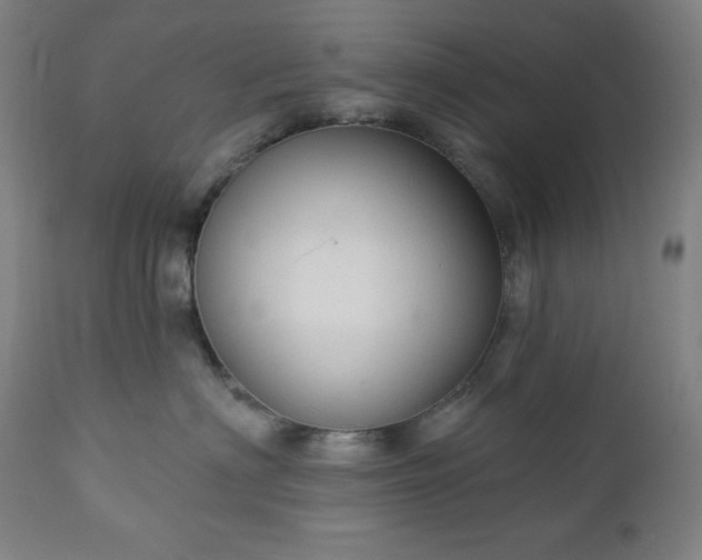 X0000112960622200909031023