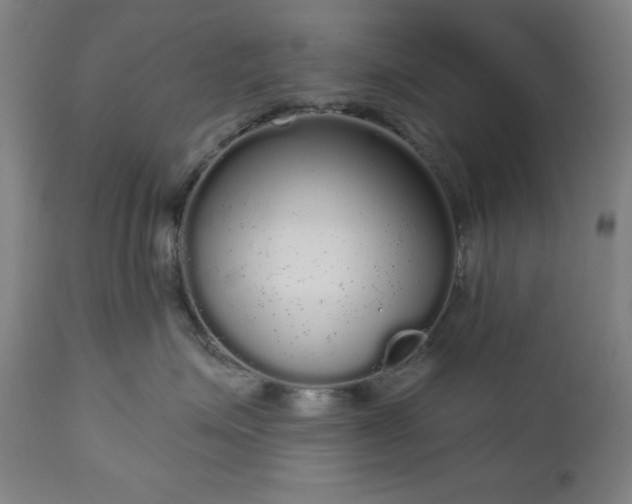 X0000112960623200909031023