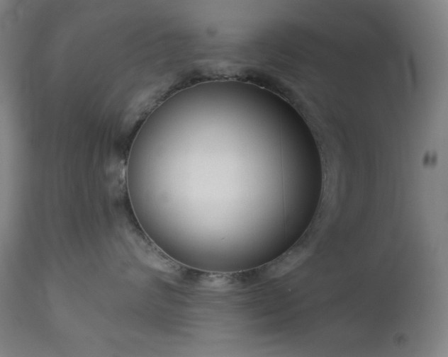 X0000112960624200909031023