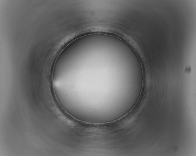 X0000112960625200909031022