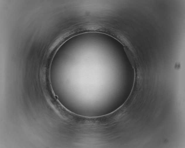 X0000112960626200909031022