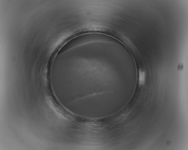 X0000112960627200909031022