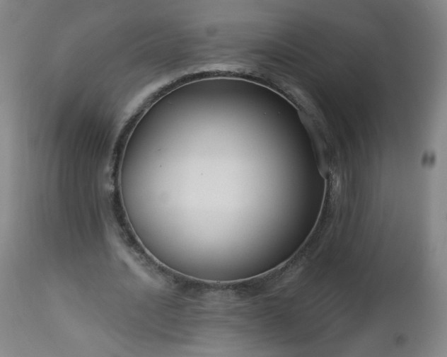 X0000112960628200909031022