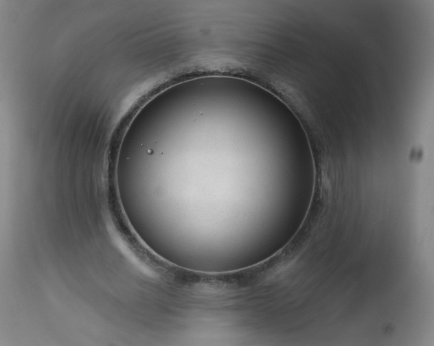 X0000112960630200909031022