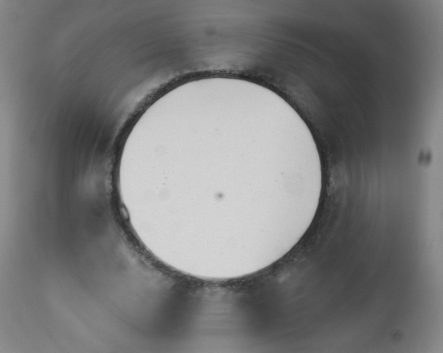 X0000112960632200909031022