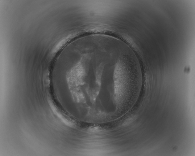 X0000112960634200909031022