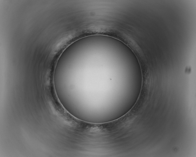 X0000112960635200909031022