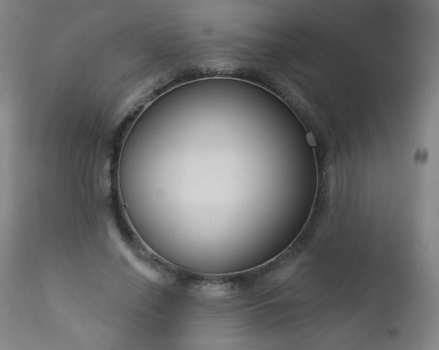 X0000112960638200909031022