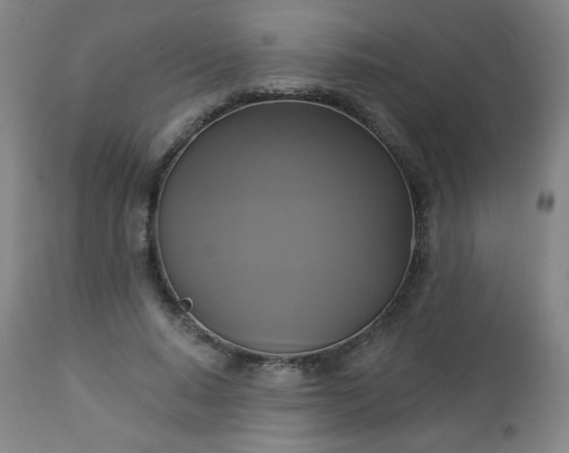 X0000112960640200909031022