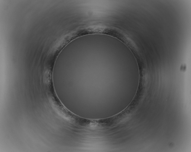 X0000112960641200909031022