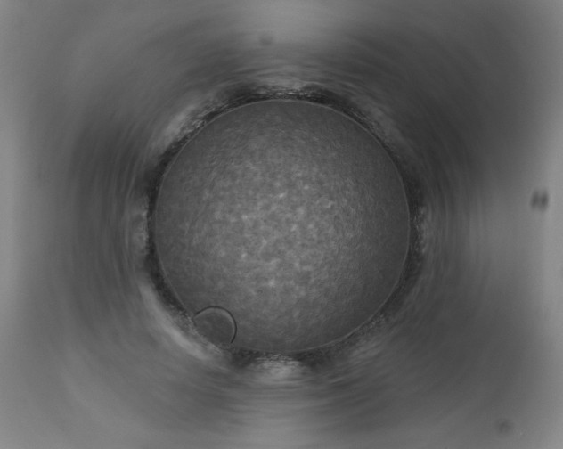 X0000112960642200909031022