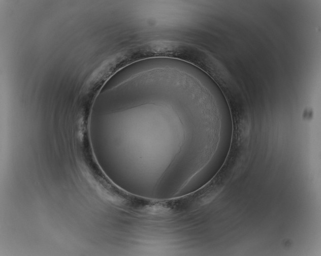 X0000112960644200909031022