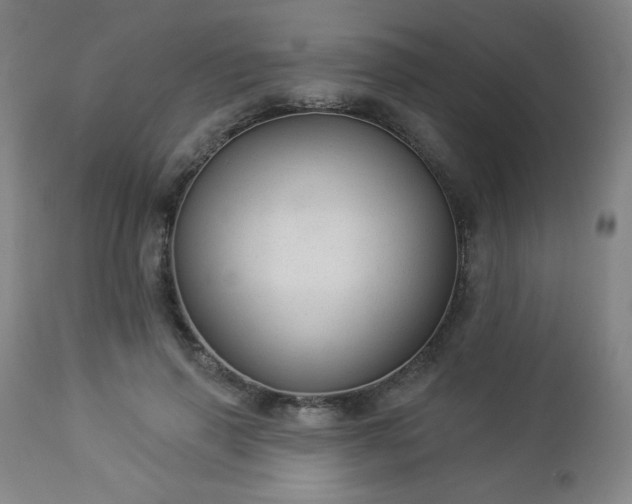 X0000112960645200909031022