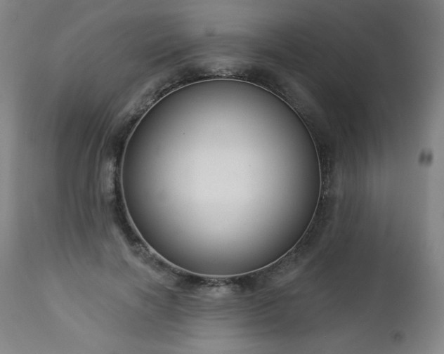 X0000112960646200909031022