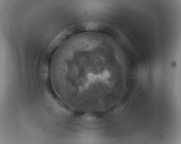 X0000112960648200909031022