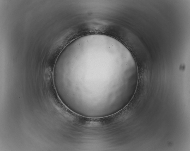 X0000112960649200909031022