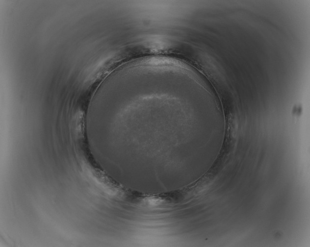 X0000112960650200909031022