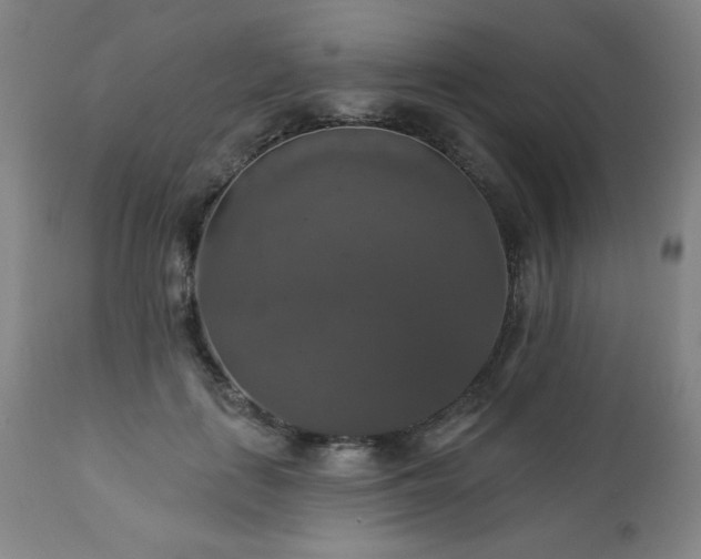 X0000112960651200909031022