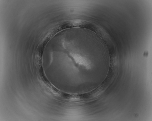 X0000112960653200909031022