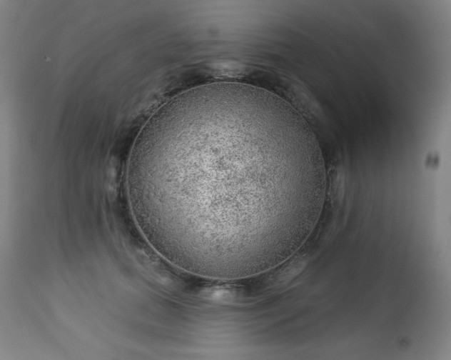 X0000112960655200909031022