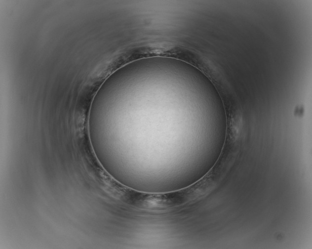 X0000112960657200909031022