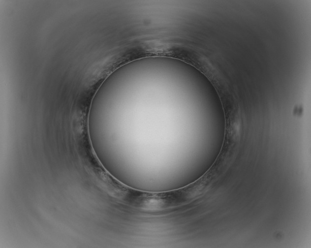 X0000112960658200909031023