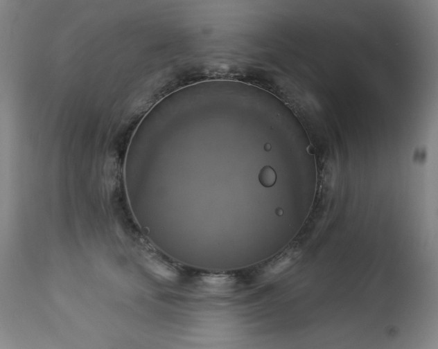 X0000112960659200909031023