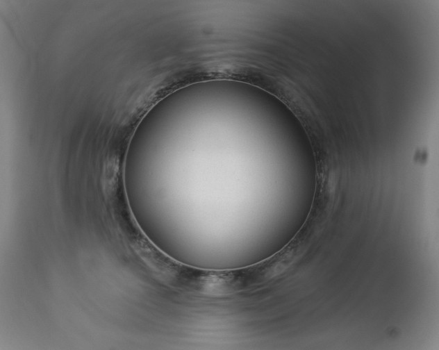 X0000112960660200909031023