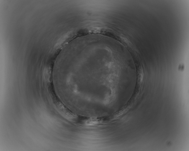 X0000112960661200909031023