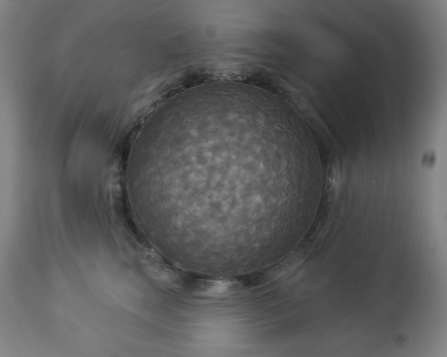 X0000112960663200909031023