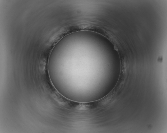 X0000112960664200909031023