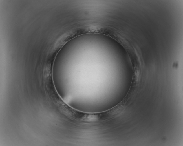 X0000112960665200909031023