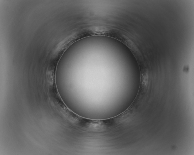 X0000112960666200909031023