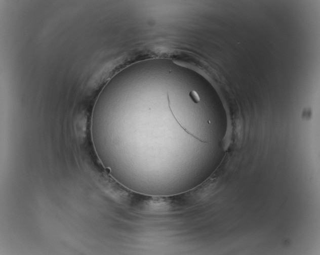 X0000112960668200909031023