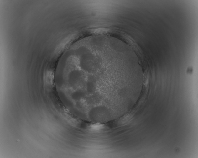 X0000112960669200909031023