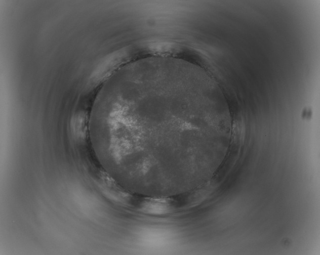 X0000112960671200909031023