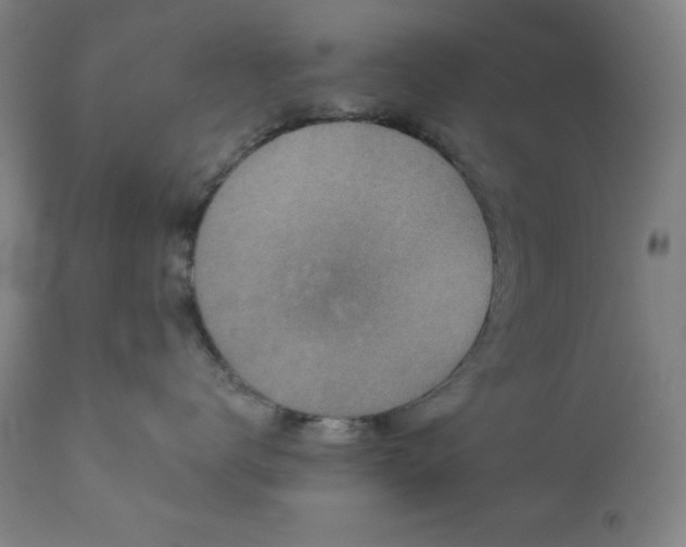 X0000112960672200909031023