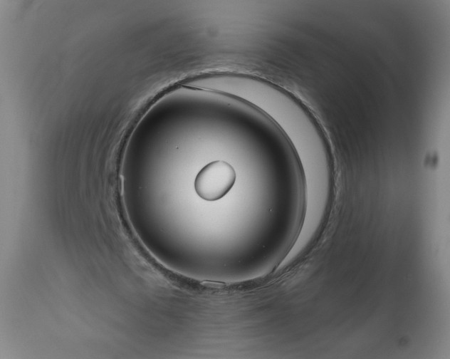 X0000112960673200909031022