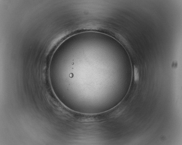 X0000112960675200909031022