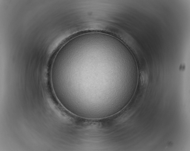 X0000112960676200909031022