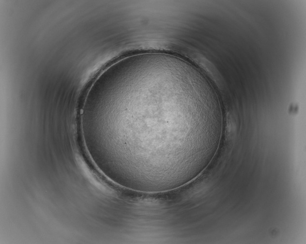 X0000112960677200909031022